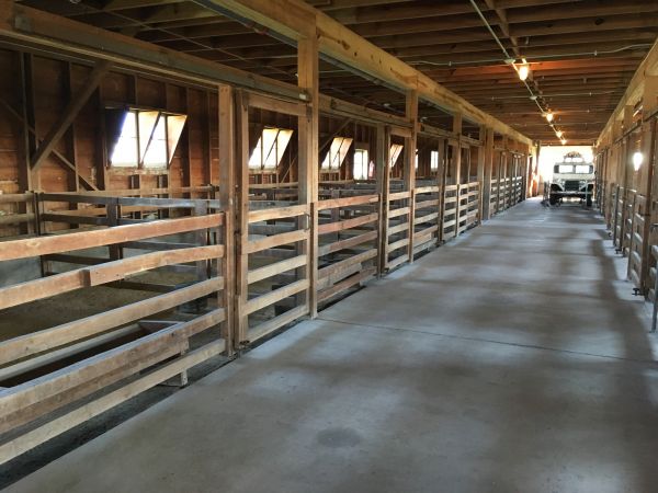 Barn Slab Construction in El Paso