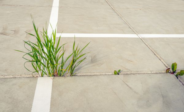 Concrete Parking Installation in El Paso